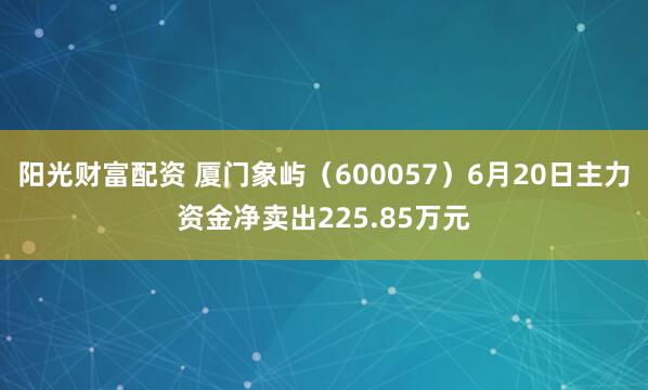 阳光财富配资 厦门象屿（600057）6月20日主力资金净卖出225.85万元