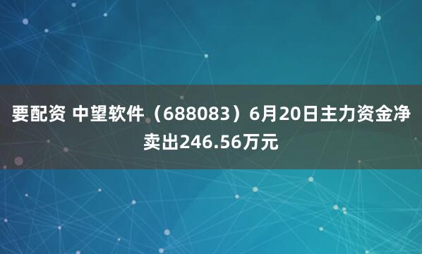 要配资 中望软件（688083）6月20日主力资金净卖出246.56万元