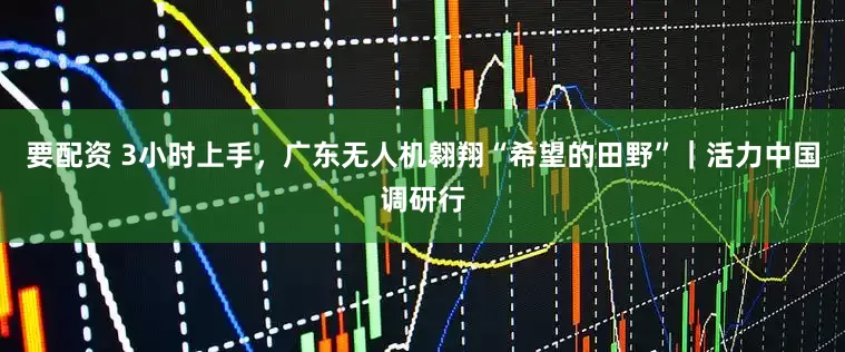 要配资 3小时上手，广东无人机翱翔“希望的田野”｜活力中国调研行