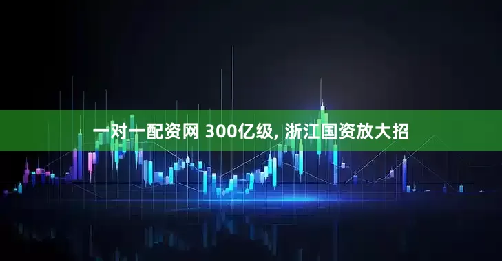一对一配资网 300亿级, 浙江国资放大招